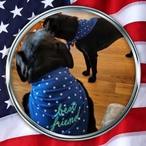 Meet your Posher, Jill